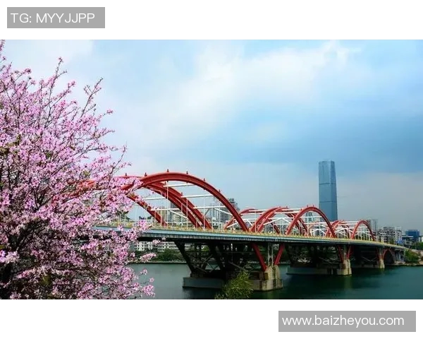 广四与广三的较量：谁能在未来的竞争中脱颖而出