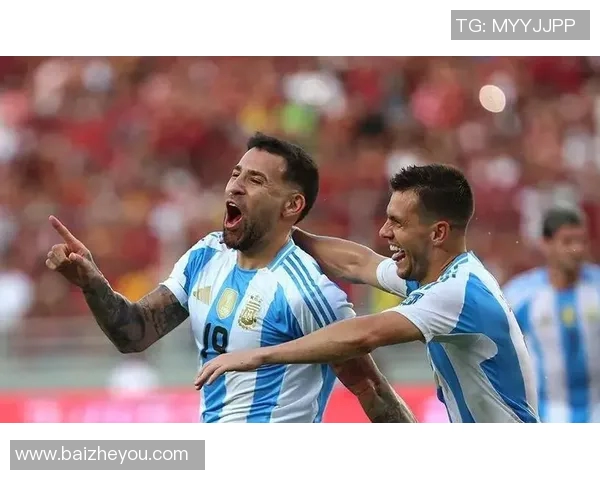 芝加哥与新英格兰对决谁能胜出精彩分析与预测